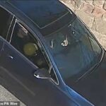 VW Driver de golfe, 20 anos, inalou segredo e matou ciclistas na neve e corra no momento em que você usava drogas enquanto fugiu
