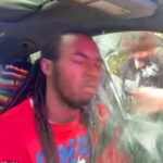 Páginas de material indicam o motorista do picada da Flórida Cooter no rosto durante o tráfego explosivo