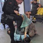 A organização armada que chutou a cabeça ‘Brawl’ do aeroporto de Airperster é um bebê não controlado, um tribunal