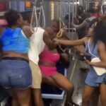 Grandes explosivos de briga de gato perto de ‘American Danger “Chicago Danger and Fear of Treading