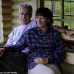 Ghislaine Maxwell defendeu fraco durante as nove horas com o mediador