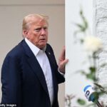 Trump recomenda o Havaí e a praia de Pacific para permanecer forte e seguro ‘antes do tsunami