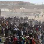 As nações árabes lixam -se no Hamas no martelo do cancelamento do cancelamento e controle de Gaza