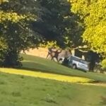 Machete-Dous-Dwards ‘Machete-Welbus Ambush Man, 51, na seção de lazer morto XL está morto