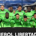 Linha nacional de regla para cópia copic