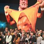 WWETOP HULK HOGAN HOOGER