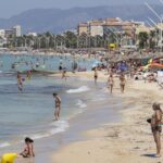 Majorca é atacado por cobras quando as autoridades dão um grande aviso