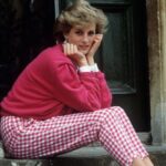A primeira imagem visual antes da visão da princesa Diana compartilhou em uma grande prisão