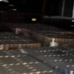 Os jovens fazem mudanças estranhas depois de encontrar o armazém de mercadorias no Google