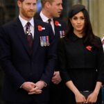 O príncipe livre Harry e a ‘paz’ da paz ‘tem mais sobre fazer seu local de trabalho sem -teto