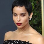 Zoë Kravitz ataca problemas para reduzir ‘a aparência de’ a aparência de confusão