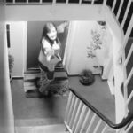 Eu morava perto do vizinho do Horror Hell para nos matar com Lola Playbell