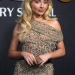Tucker Wetmore fornece confissão de DM associada ao Sabrina Carpenter