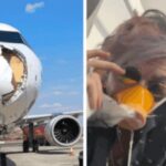 O pássaro com nariz de airte: Kabin está cheio de fumaça; pânico com o avião de Paris – Assista