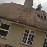 Barulhento como um vizinho mimado de pessoas libertadas na prisão depois de passar três meses