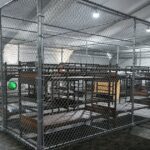A Flórida negou duas vezes do ‘Alligator Alcatraz’ com planos de construir um segundo Mrrant Center